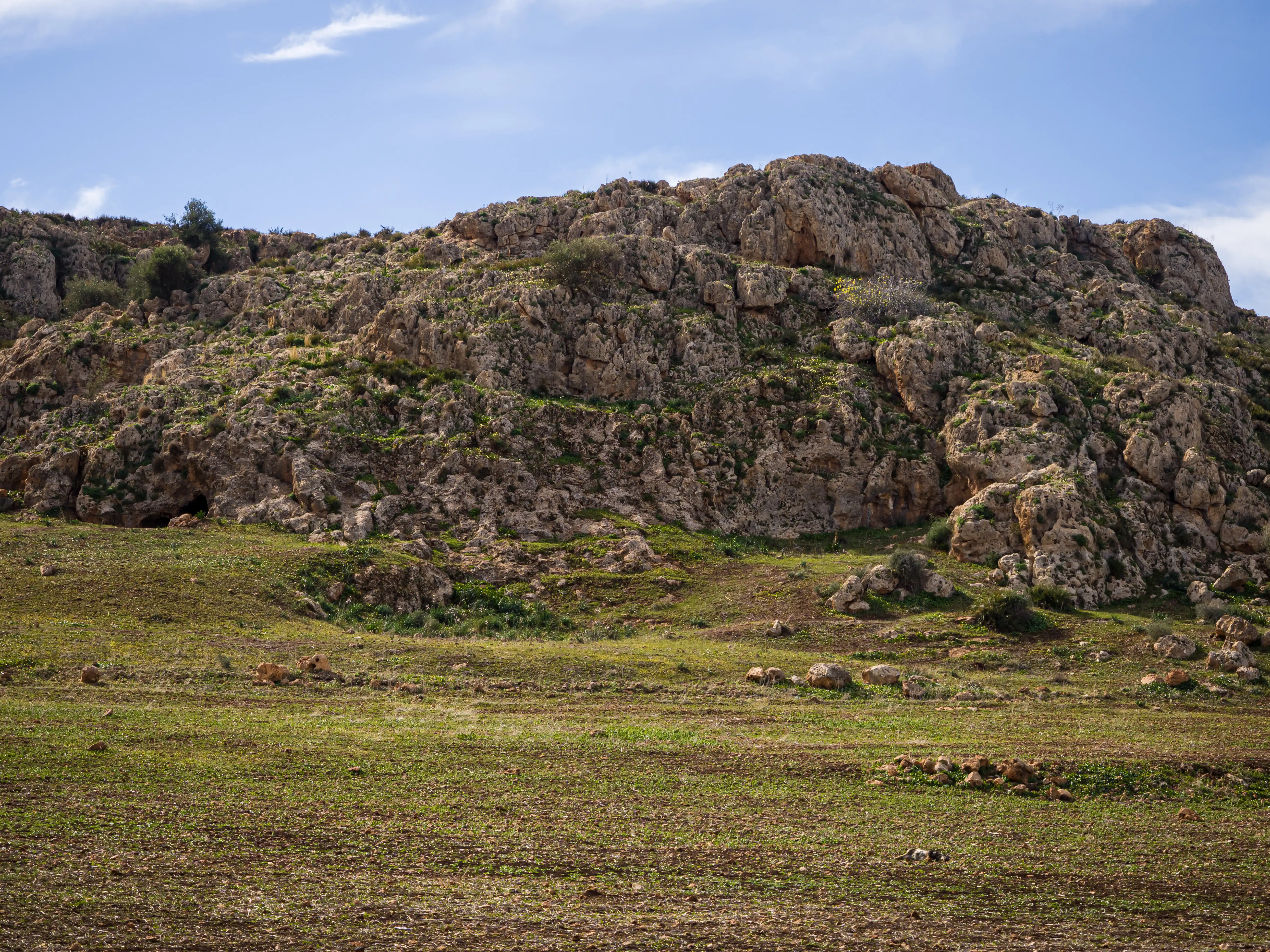 Ifrane Plain